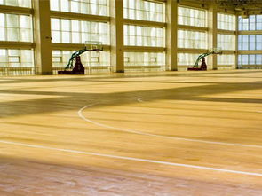 森體木業(yè) 圖 實木運動地板價格 松原實木運動地板