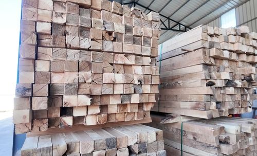 投資億元，新源添新綠——新疆新源縣現代化木材加工廠正式投產，引領木業高質量發展