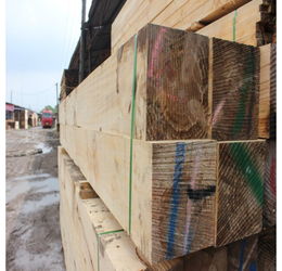 新西蘭松無節材與輻射松建筑木方 現代木結構建筑的優選材料